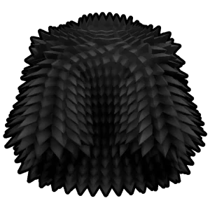 Black Spikey Coat