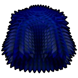Blue Spikey Coat