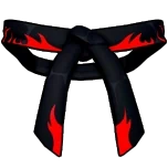 Dojo Belt (Black)