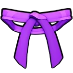 Dojo Belt (Purple)