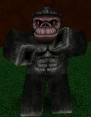 Gorilla
