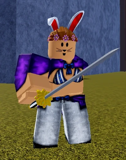 Musketeer Pirate