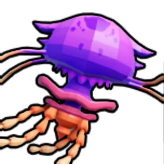 Jellyfish