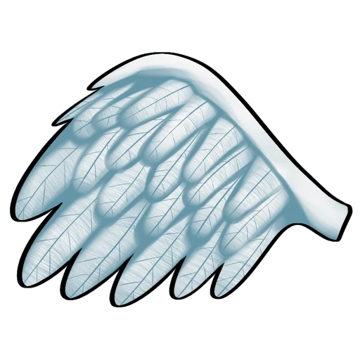 Angel Wings