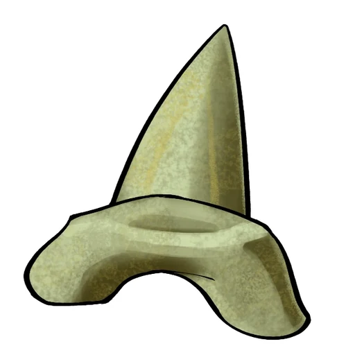 Shark Tooth